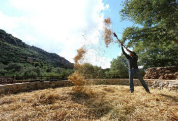 Be a Farmer for A Day - Agrotourism
