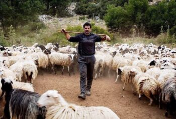 4 Days Winter Tours in Crete