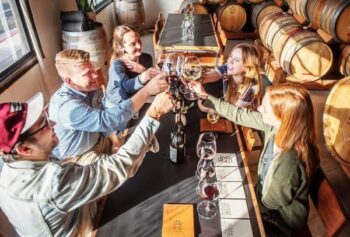 Two Wineries Experience Tour and Wine Tasting